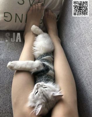 国产欧美中文字幕_HD超清在线观看